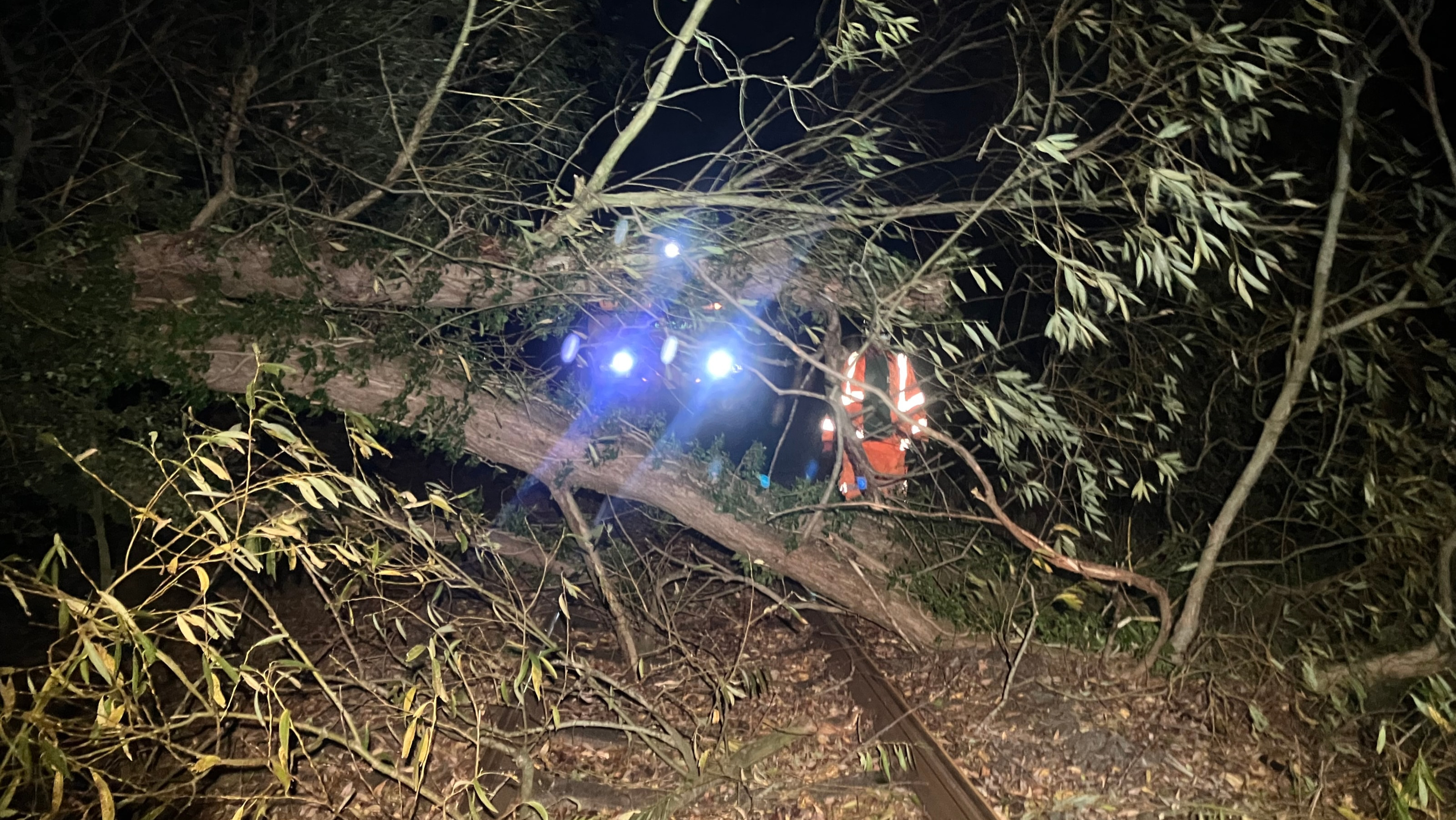A fallen tree lying across a railway line after a storm, with overhead line equipment above